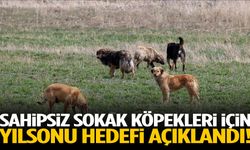 Sahipsiz sokak köpekleri için yılsonu hedefi açıklandı!