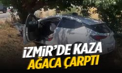 İzmir’de sollama yaparken ağaca çarptı