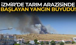 İzmir’de tarım arazisinde başlayan yangın büyüdü!