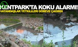 Kentpark’dan geçen dere kokuyor! Vatandaş çözüm bekliyor!