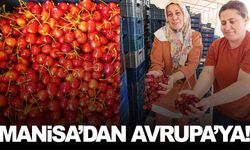 Tütüne alternatifti... Şimdi Avrupa sofralarını süslüyor!
