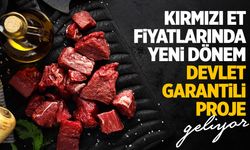Kırmızı et fiyatlarında yeni dönem! Devlet projesi geliyor…