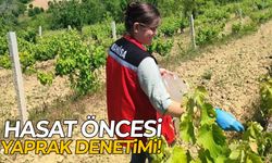 Akhisar’da yaprak üreticilerine yakın takip