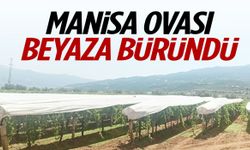 Manisa Ovası beyaza büründü! Mesai başladı…