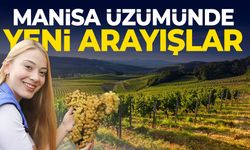Manisa üzümünde yeni arayışlar!