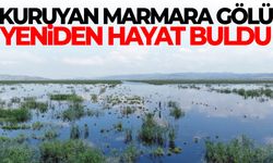 Marmara Gölü yeniden hayat buldu