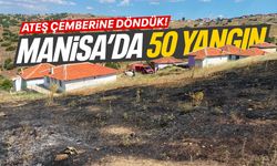 Manisa'da 50 yangın çıktı!