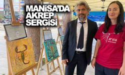 Manisa’da akrep sergisi... 81 ilden 160 tane geldi!