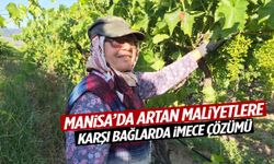 Manisa’da artan maliyetlere karşı bağlarda imece çözümü!