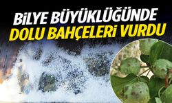 Manisa’da dolu etkili oldu! Bilye büyüklüğünde...