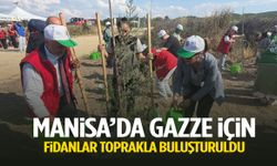 Manisa’da binlerce fidan Gazze’de yitirilen canlar için dikildi