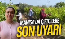 Manisa'da çiftçilere son uyarı!