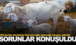 Manisa’da küçükbaş hayvancılığın geleceği masaya yatırıldı