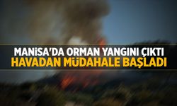 Manisa'da orman yangını çıktı! Havadan müdahale başladı...