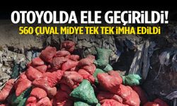 Manisa’da otoyolda ele geçirildi! 560 çuval midye tek tek imha edildi