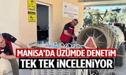 Manisa’da üzümde denetim! Tek tek inceleniyor