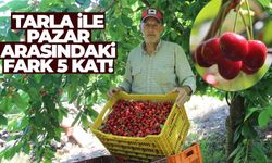 Manisalı kiraz üreticisi tepkili... Tarlada 150 pazarda 750 lira!
