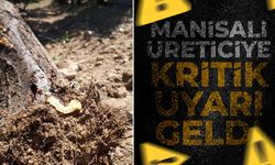 Manisalı üreticiye kritik uyarı geldi!