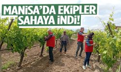 Manisa’da ekipler sahaya indi!
