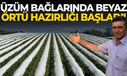Üzüm bağlarında beyaz örtü hazırlığı başladı!