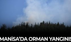 Manisa’da ormanlık alanda yangın çıktı!