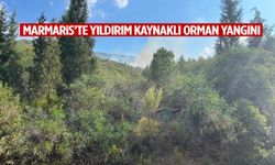 Marmaris’te yıldırım kaynaklı orman yangını