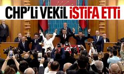 Milletvekili Nimet Özdemir CHP’den istifa etti