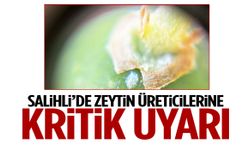 Salihli’de zeytin üreticilerine kritik uyarı!