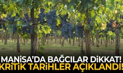 Manisa’da bağcılar dikkat! Kritik tarihler açıklandı