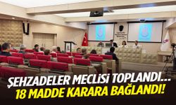 Şehzadeler meclisi toplandı… 18 madde karara bağlandı!