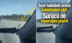 Seyir halinde aracın kaputundan çıktı! Sürücü ne yapacağını şaşırdı...