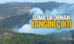 Soma'da orman yangını çıktı!