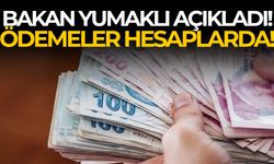 Bakan açıkladı! İlk ödemeler hesaplara yatırıldı!