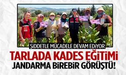 Tarlada KADES eğitimi!