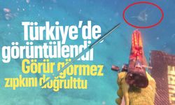 Türkiye'de görüntülendi! Görür görmez zıpkını doğrulttu