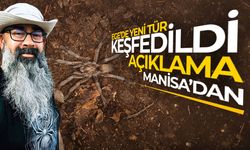 Türkiye'de ilk... Ege'de görüntülendi! Manisa'dan açıklama...
