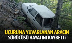 Uçuruma yuvarlanan aracın sürücüsü öldü
