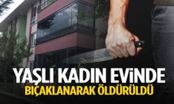 Yaşlı kadın evinde bıçaklanarak öldürüldü