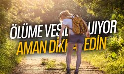 Yaz aylarının kabusu geri döndü!