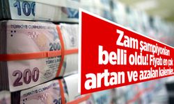Zam şampiyonları belli oldu! Fiyatı en çok artan ve azalan kalemler...