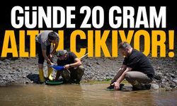 Günde 20 gram altın buluyorlar!