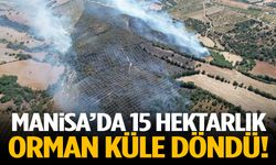 Manisa’da 15 hektarlık orman kül oldu!