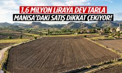 1,6 milyon liraya dev tarla... Manisa'daki satış dikkat çekiyor!