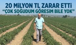 20 milyon TL zarar etti: Göresim bile yok...