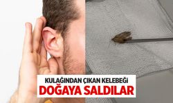 40 yaşındaki adamın kulağından çıkan kelebeği doğaya saldılar