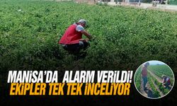 Manisa'da alarm verildi! Ekipler tek tek inceliyor