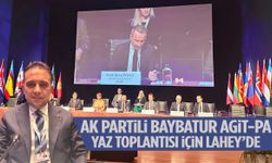 AK Partili Baybatur AGİT-Pa yaz toplantısı için Lahey’de!