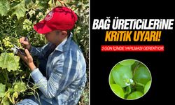 Bağ üreticilerine kritik uyarı! 3 gün içinde yapılması gerekiyor