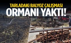 Balyozdan sıçrayan kıvılcım ormanı yaktı!