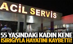 Kene ısırığı faciayla sonuçlandı!